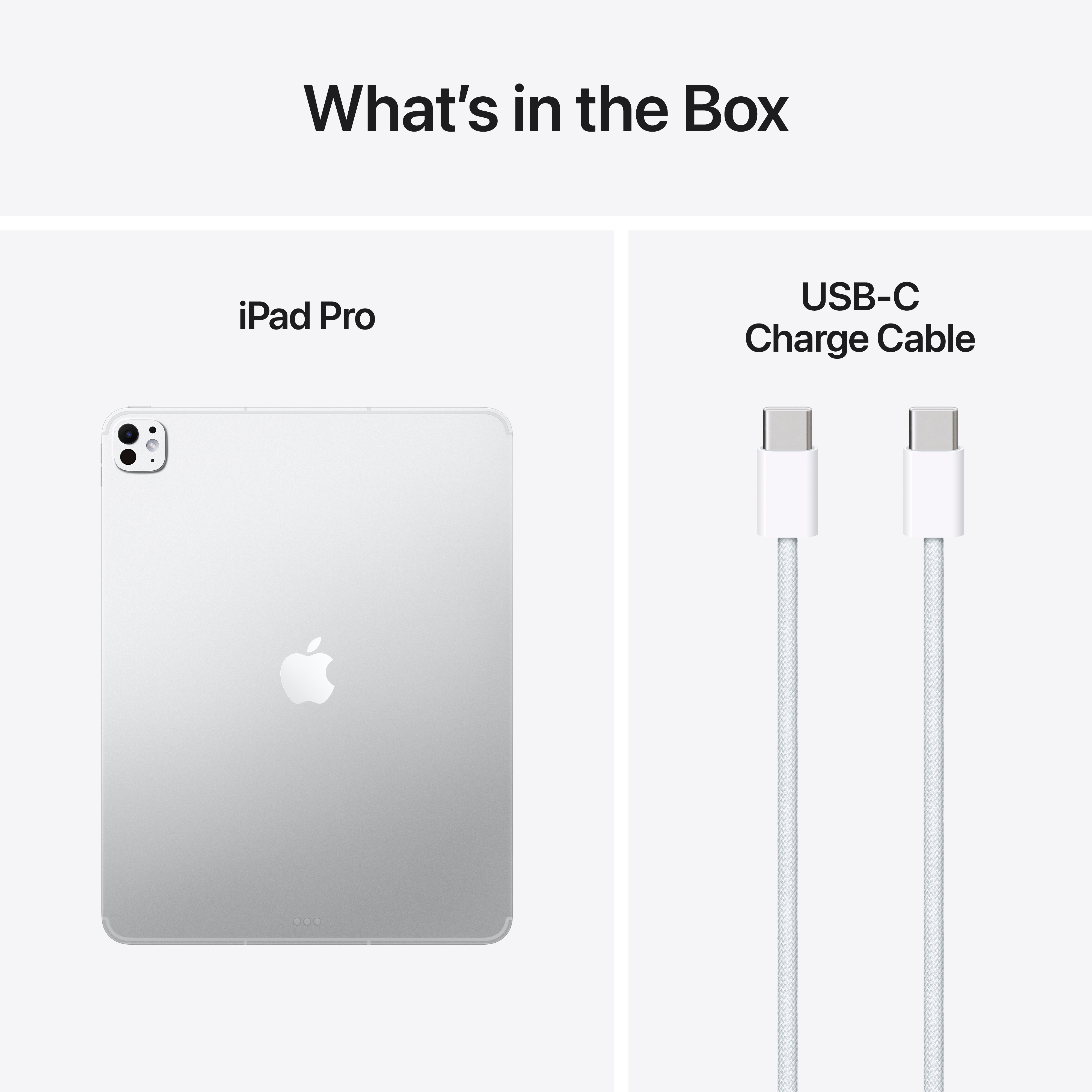 In the box