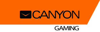 Canyon Gamaming лого