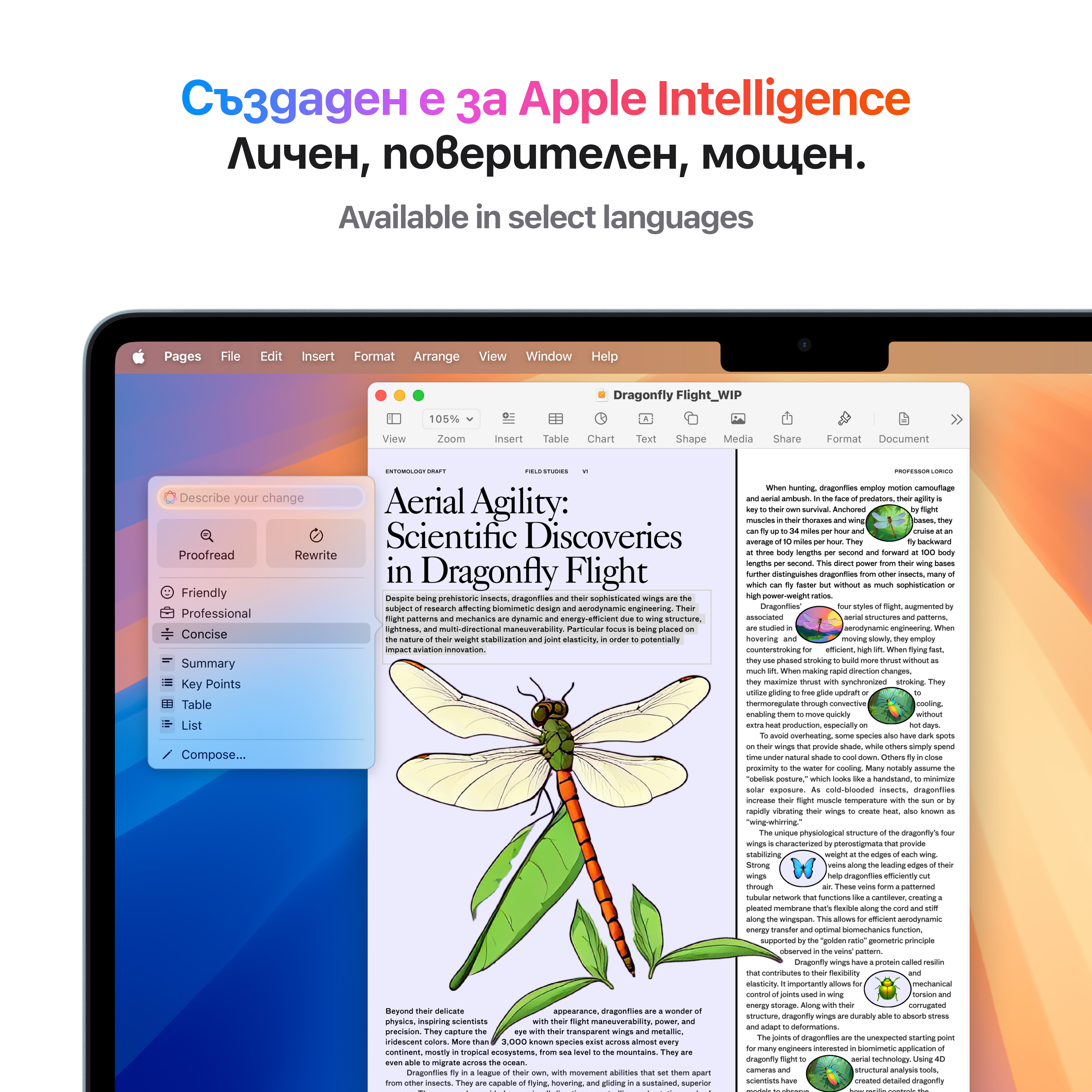 MacBook Air M4 13 inch