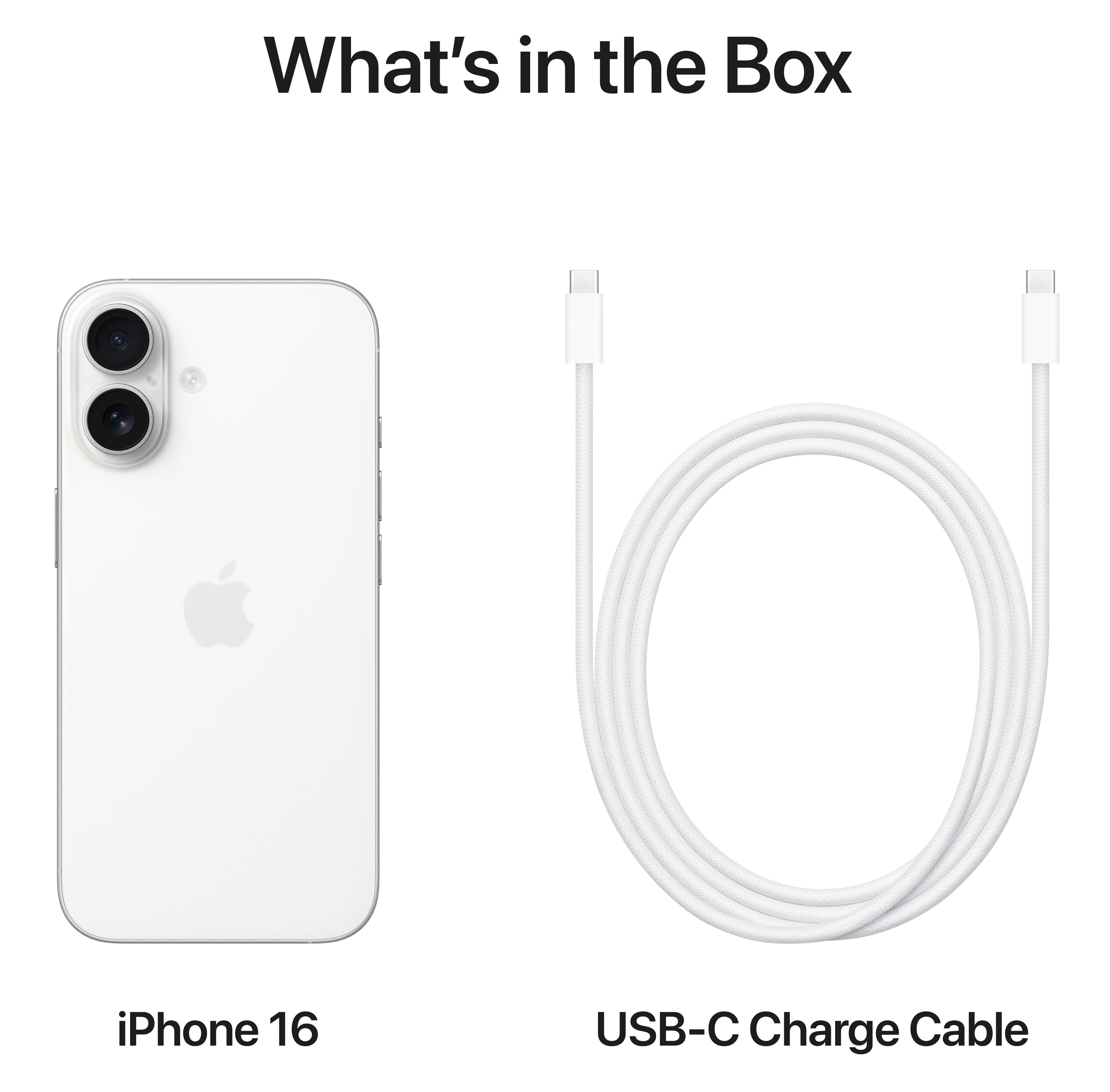 In the box