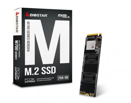 256GB SSD BIOSTAR M700 на супер цени