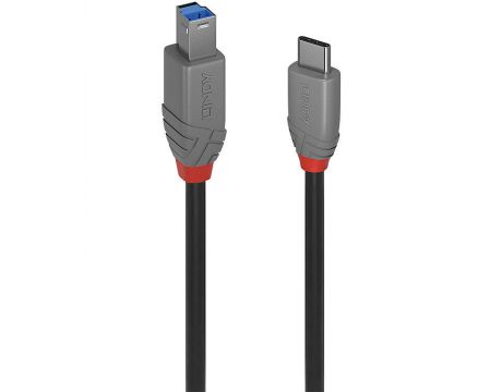 Delock USB Type-C към USB Type-B на супер цени