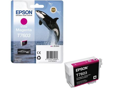 Epson T7603 magenta на супер цени