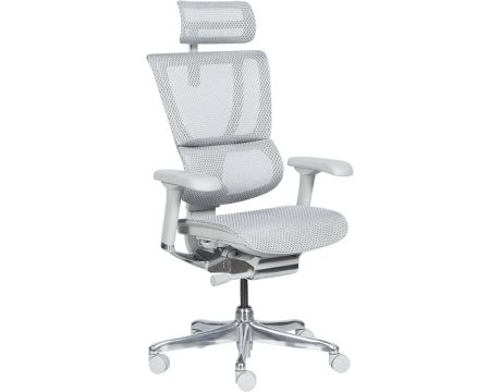 Ergohuman IOO ELITE 2, сив на супер цени