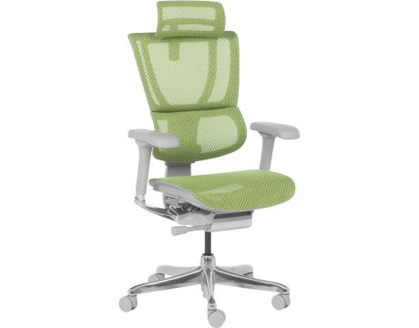 Ergohuman IOO ELITE 2, сив/зелен на супер цени