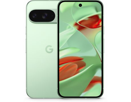 Google Pixel 9, 12GB, 256GB, Wintergreen на супер цени