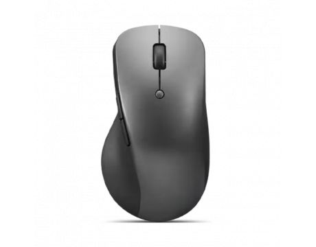 Lenovo Professional, сив на супер цени