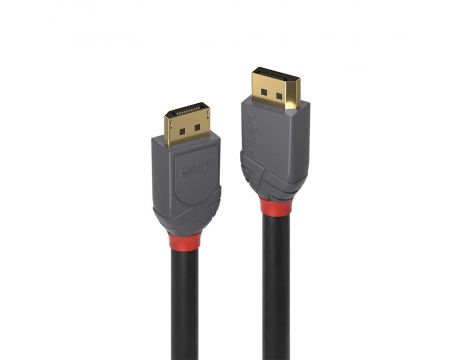 Lindy DisplayPort към DisplayPort на супер цени