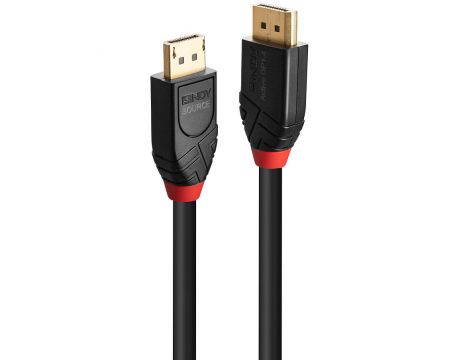 Lindy Display Port към Display Port на супер цени