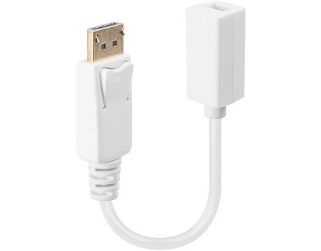 Lindy DisplayPort към mini DisplayPort на супер цени