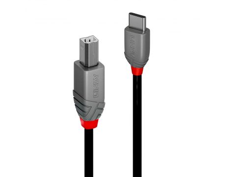 Lindy Anthra Line USB Type-C към USB Type-B на супер цени