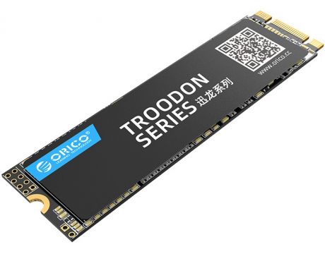 256GB SSD ORICO Troodon N300 на супер цени