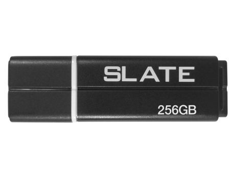 256GB Patriot Slate, черен на супер цени