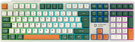 CND-SKBW11