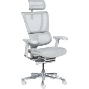 Офис стол Ergohuman IOO ELITE 2, сив на супер цени