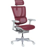 Офис стол Ergohuman IOO ELITE 2, сив/червен на супер цени