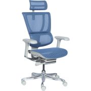 Офис стол Ergohuman IOO ELITE 2, сив/син на супер цени