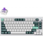 Безжична геймърска клавиатура Keychron Q1 HE QMK, бял/зелен на супер цени