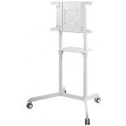 Стойка Neomounts NS-M1250WHITE на супер цени