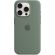 Apple Silicone MagSafe за Apple iPhone 15 Pro, Cypress на супер цени