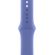 Apple Sport за Apple Watch 40 мм, M/L, Periwinkle на супер цени