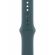 Apple Sport за Apple Watch 40 мм, S/M, Lake Green на супер цени