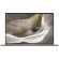 ASUS Zenbook A16 UX3607OA-SQ485W на супер цени