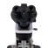 MAGUS Bio 240T изображение 7