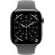 Apple Watch Series 11 GPS, Cellular, 46 мм, M/L, Natural Titanium, Stone Grey на супер цени