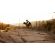 GoPro Tripod and Ballhead изображение 9