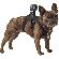 GoPro Fetch Dog Harness изображение 2