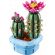 LEGO Flowering Cactus изображение 2