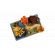 LEGO Autumn Cottage Garden изображение 4