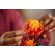 LEGO Chrysanthemum изображение 9
