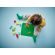 LEGO Green Building Plate изображение 4