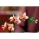 LEGO Mini Orchid изображение 8