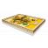 LEGO Vincent van Gogh – Sunflowers изображение 6