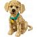 LEGO Golden Retriever Puppy изображение 2