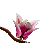 LEGO Magnolia Branches изображение 6