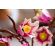 LEGO Magnolia Branches изображение 11