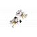 LEGO Lucky & Penny 101 Dalmatians Puppies изображение 3