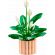 LEGO Peace Lily изображение 2