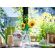 LEGO Sunflowers изображение 5