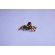 LEGO Wild Animals: Surprising Spider изображение 10