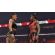WWE 2K23 (PS4) изображение 7