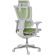 Ergohuman IOO ELITE 2, сив/зелен изображение 5