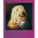 Polaroid Color Go film изображение 2