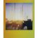 Polaroid Color Go film изображение 6