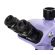 MAGUS Stereo 7TH изображение 5