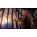 God of War Laufey (PS5) изображение 5